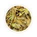 Spring Melody Darjeeling Black Tea First Flush 2025