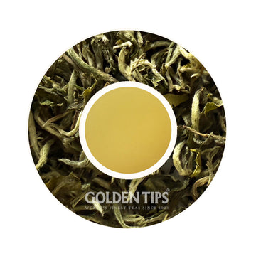 Badamtam - White Pride Organic Darjeeling White Tea First Flush 2026
