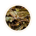 Gopaldhara - Moondrop Sonata Darjeeling Black Tea First Flush 2025