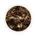 Giddapahar - Signature Autumn Darjeeling Black Tea Autumn Flush 2025