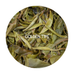 Glenburn - Spring Moonshine Darjeeling Black Tea First Flush 2026
