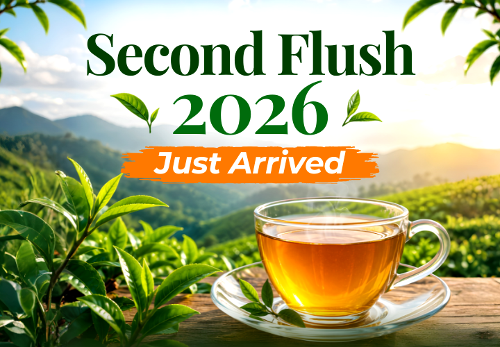 frist flush banner