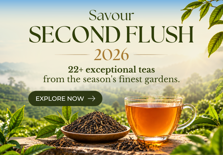 Savour Second Flush 2026