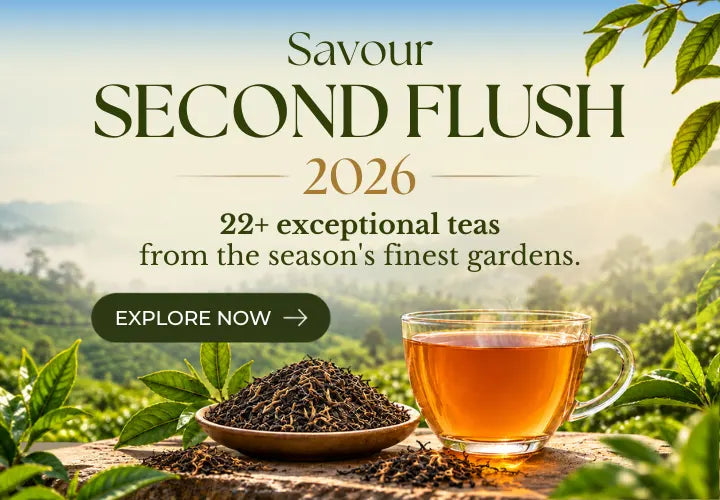 Savour second Flush 2026