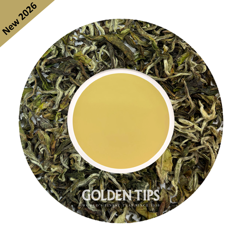 Namring Upper - Moonlight Elixir Darjeeling Black Tea First Flush 2026
