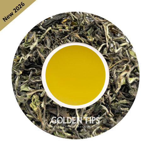 Tukvar - Spring Secret Darjeeling Tea First Flush 2026