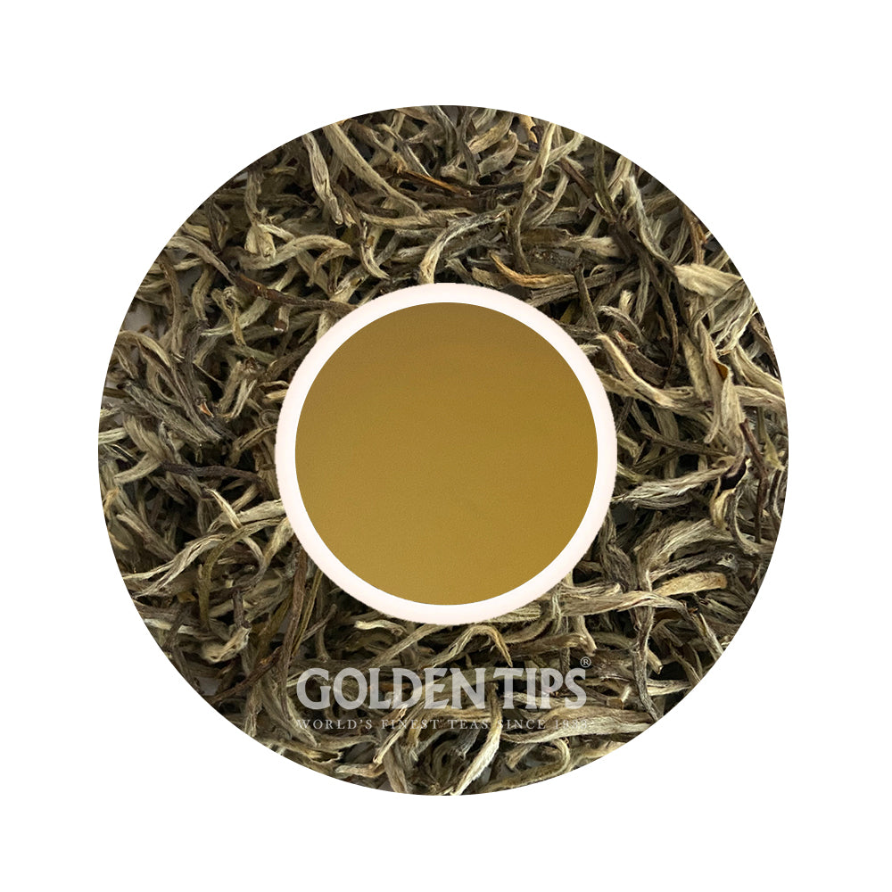 Silver Needle Organic Darjeeling White Tea Second Flush 2023
