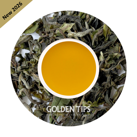 Ringtong - Spring Delight Darjeeling Tea First Flush 2026