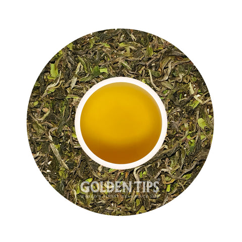 Spring Vintage Darjeeling Black Tea First Flush 2025