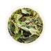 Spring Vintage Darjeeling Black Tea First Flush 2025