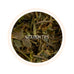 Spring Signature Darjeeling Black Tea First Flush 2024