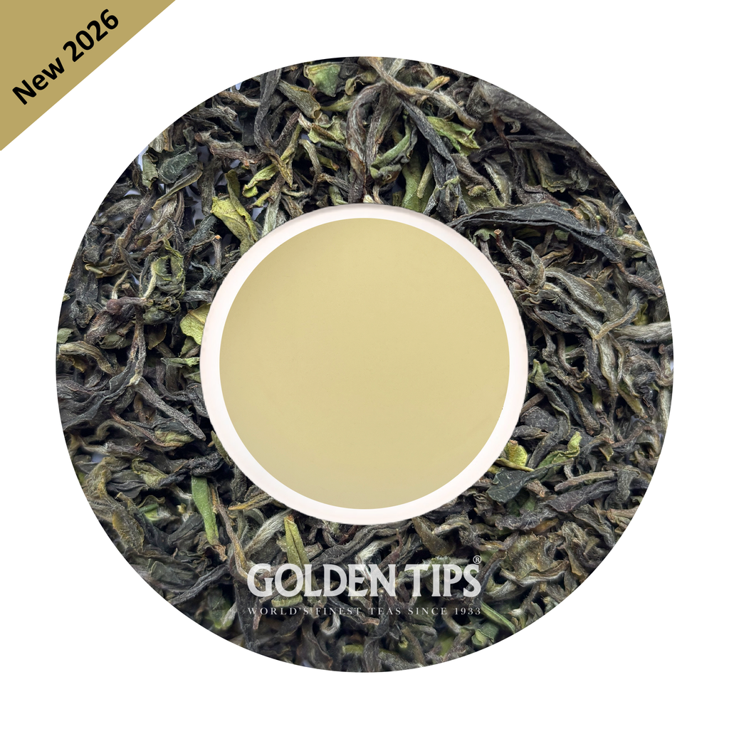 Wah - Mountain Mist Magnus Kangra Tea First Flush 2026
