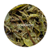 Wah - Mountain Mist Magnus Kangra Tea First Flush 2026