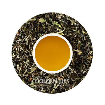 Spring Surprise Darjeeling Black Tea First Flush 2025