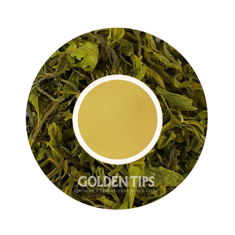 Green Queen Organic Nilgiri Tea First Flush 2024