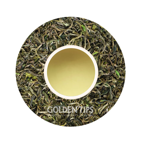 Mountain Mist Magnus Kangra Black Tea First Flush 2025