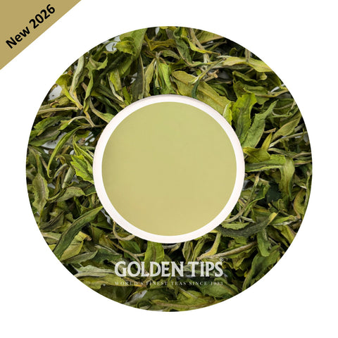 Arya - Spring Pearl Organic Darjeeling White Tea First Flush 2026