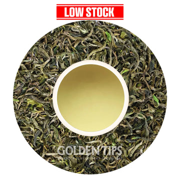 Wah - Mountain Mist Magnus Kangra Black Tea First Flush 2025