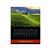 Summer Serenade Second Flush Darjeeling Black Tea
